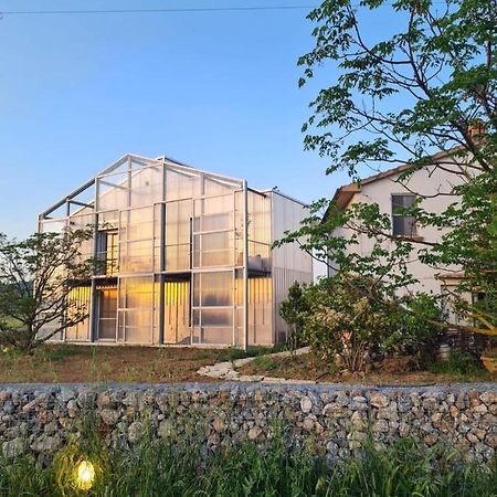Anonima Agricola Villa Орбетело Екстериор снимка