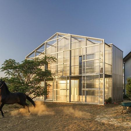Anonima Agricola Villa Орбетело Екстериор снимка