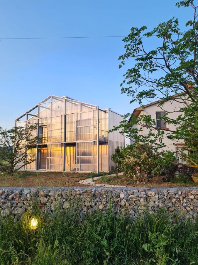 Anonima Agricola Villa Орбетело Екстериор снимка