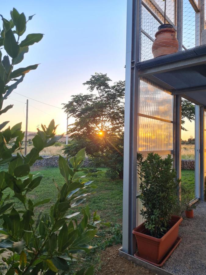 Anonima Agricola Villa Орбетело Екстериор снимка