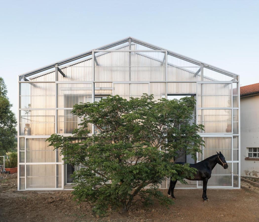 Anonima Agricola Villa Орбетело Екстериор снимка